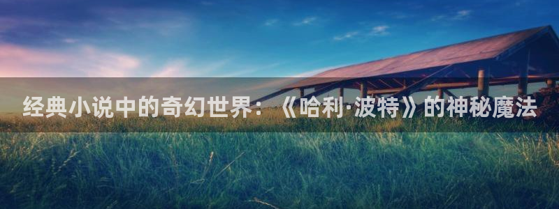 起点中文小说：经典小说中的奇幻世界：《哈利·波特》的神秘魔法