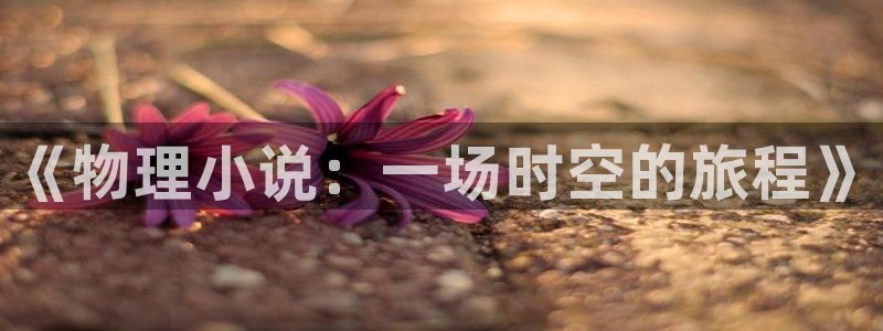 起点小说vip有什么用：《物理小说：一场时空的旅程》